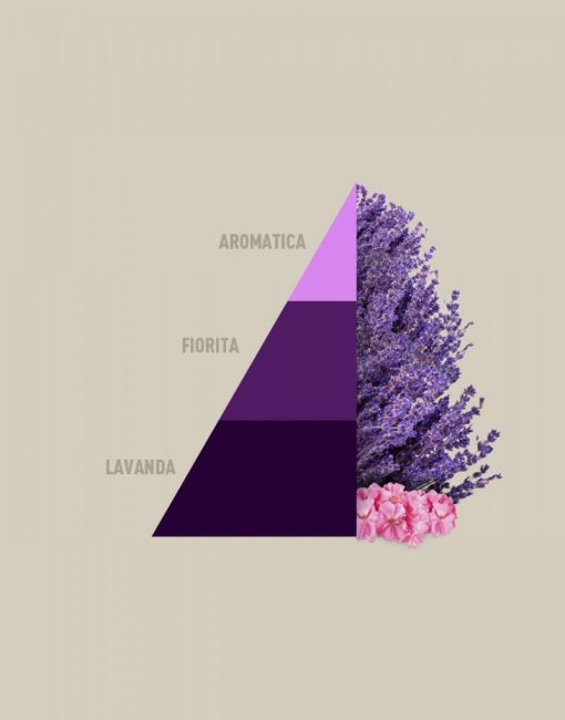 Horomia Wasparfum - Aromatic Lavender pyramide - Special Creations